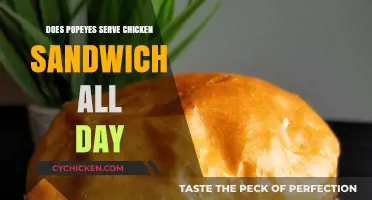Does Popeyes Serve Chicken Sandwiches All Day? Find Out Here