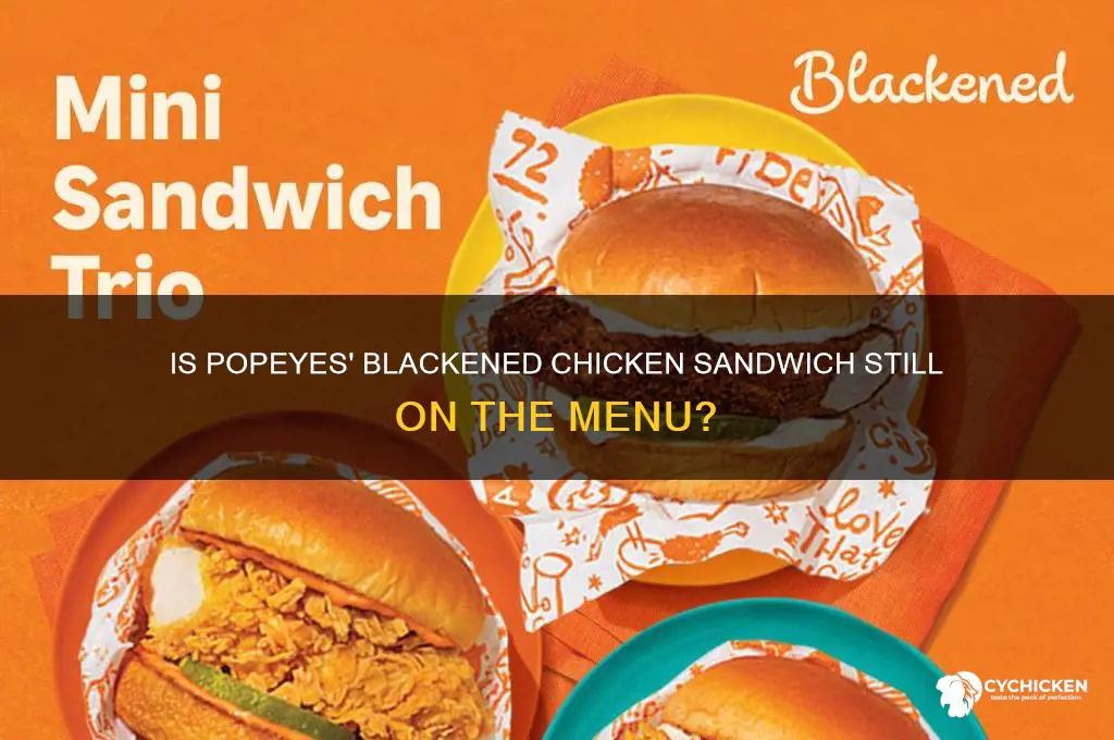 does popeyes still have blackened chicken sandwich