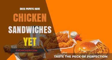 Popeyes Chicken Sandwiches: Are They Finally on the Menu?