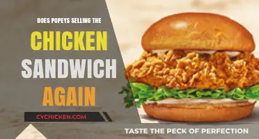 Popeyes Chicken Sandwich Returns: What's New and Why It Matters