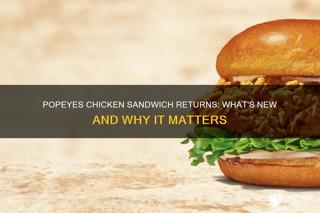 does popeys selling the chicken sandwich again