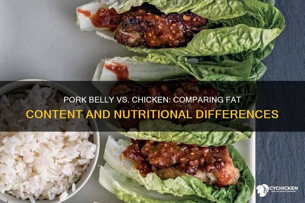 does pork belly have more fat than chicken