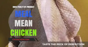 Poultry By-Product Meal: Is It Really Just Chicken?