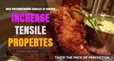 Preconditioning Chicken Achilles: Enhancing Tensile Properties Through Innovative Techniques