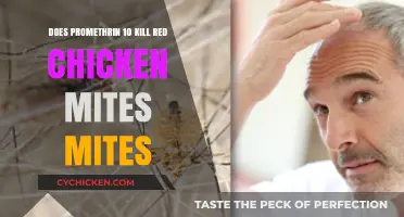 Promethrin 10% Effectiveness Against Red Chicken Mites: What You Need to Know