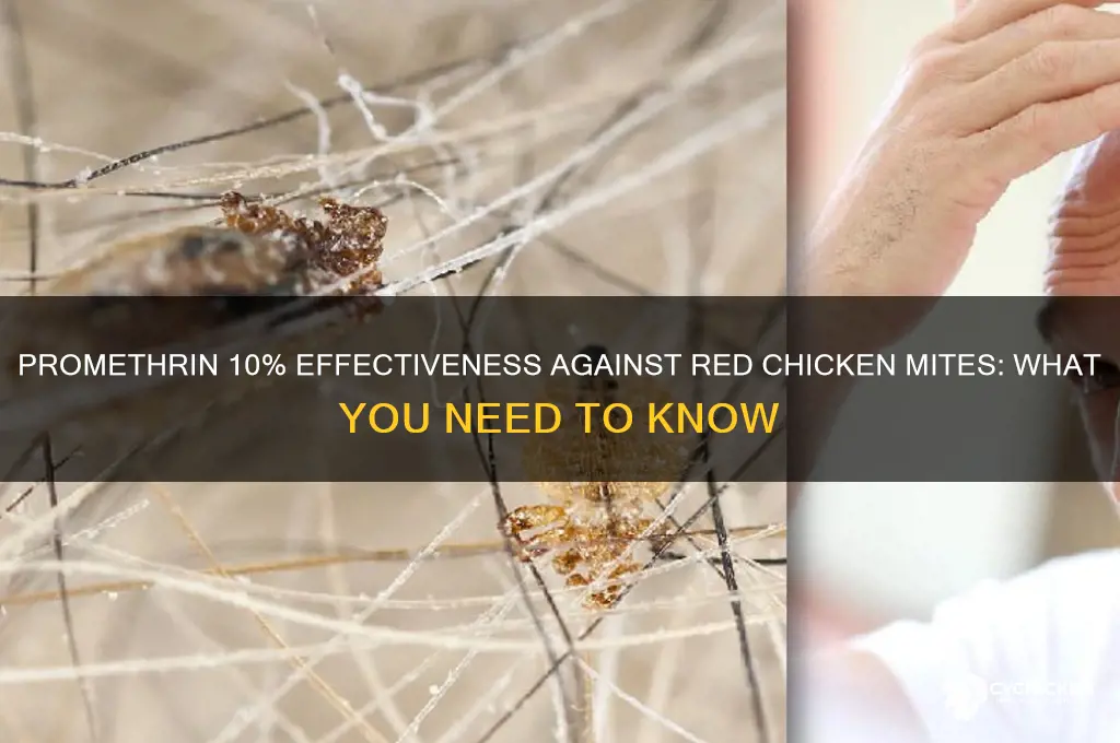 does promethrin 10 kill red chicken mites mites