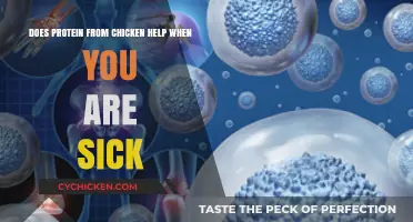 Protein Power: Chicken Soup for Sickness?