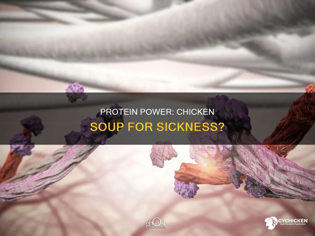 does protein from chicken help when you are sick