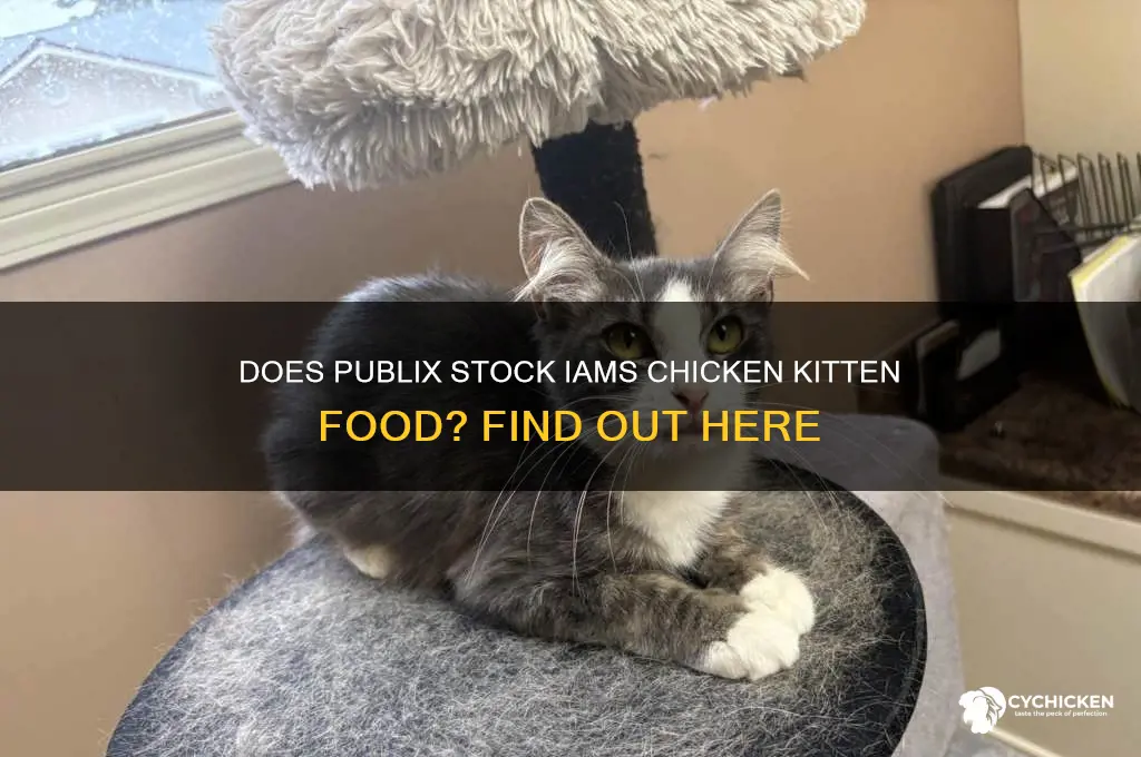 does publix carry iams chicken kitten food