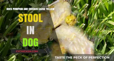 Pumpkin, Chicken, and Yellow Stool: What's the Link?