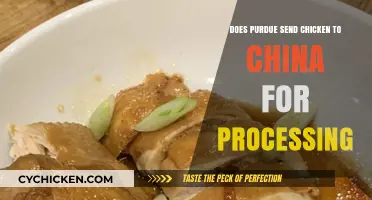 Does Purdue Export Chicken to China for Processing? Uncovering the Truth