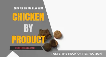 Purina Pro Plan Ingredients: Does It Contain Chicken By-Product?