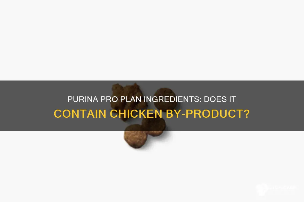 does purina pro plan have chicken by product