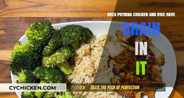 Is Putrina Chicken and Rice Grain-Free?