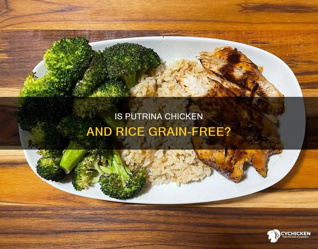 does putrina chicken and rice have grain in it