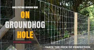 Effective Groundhog Control: Using Chicken Wire to Block Burrows