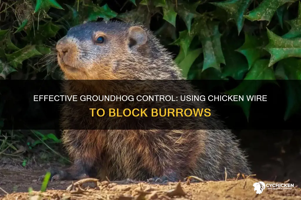 does putting chicken wire on groundhog hole