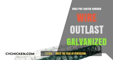 PVC vs. Galvanized: Which Chicken Wire Lasts Longer?