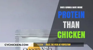 Quinoa vs. Chicken: Which Protein Source Packs More Punch?