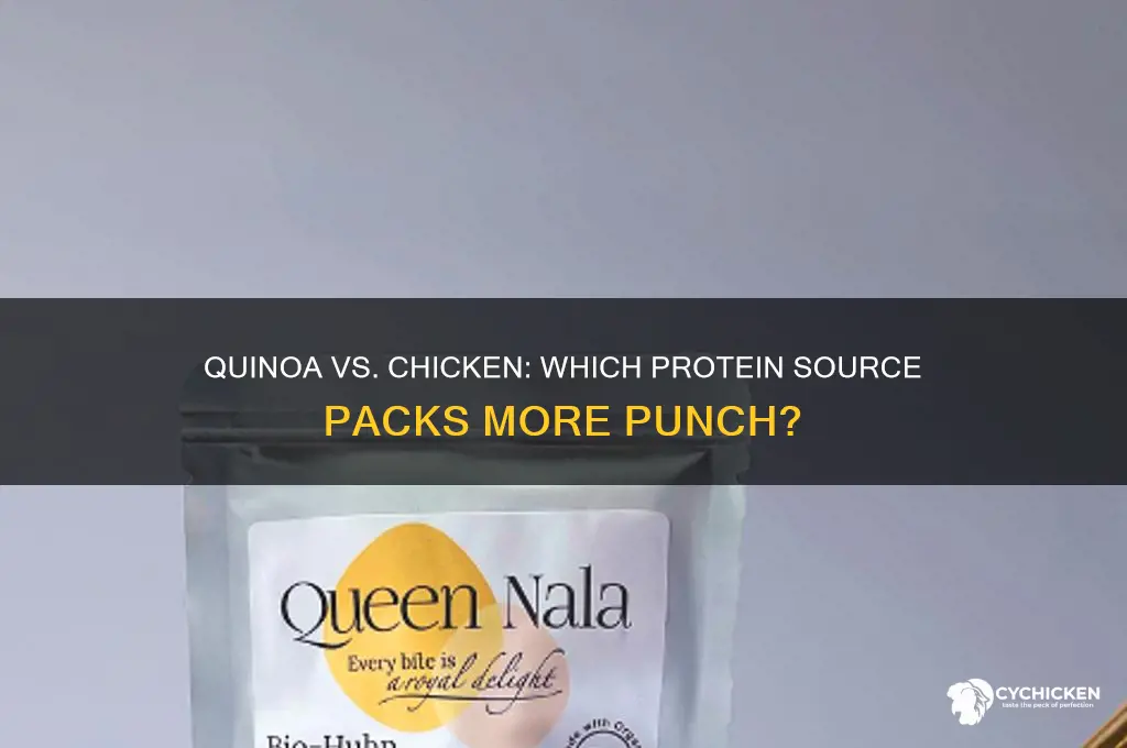 does quinoa have more protein than chicken