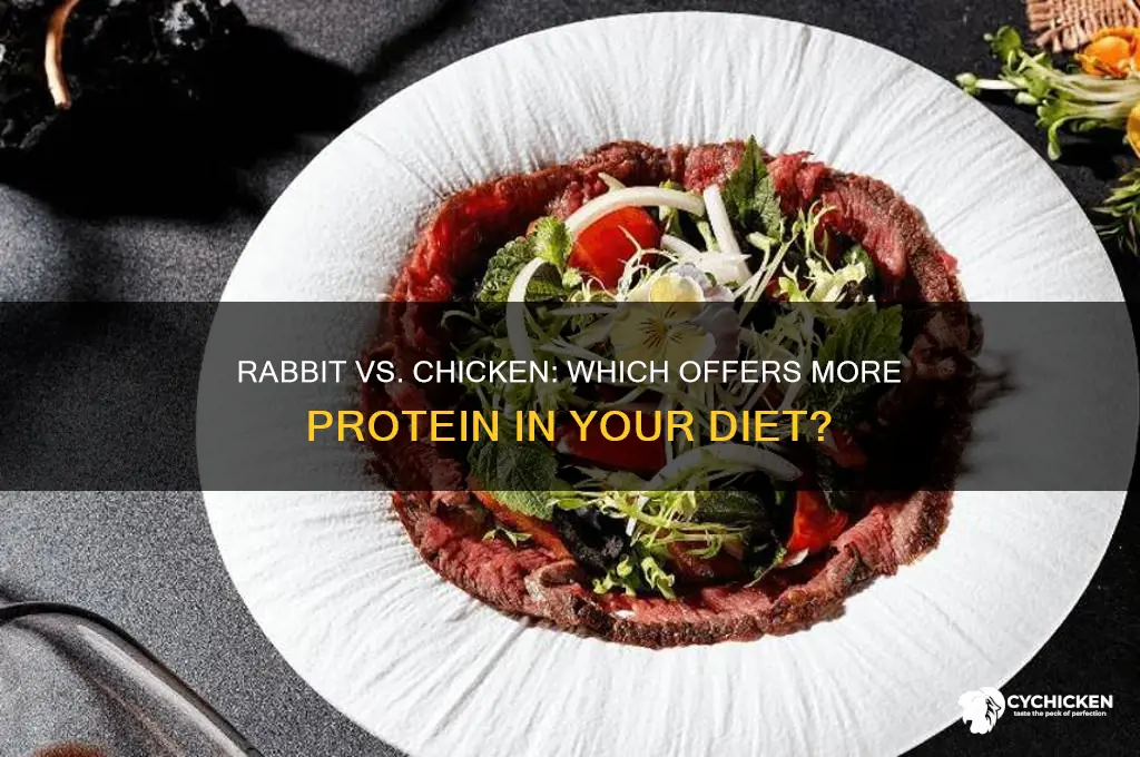 does rabbit have more protein than chicken