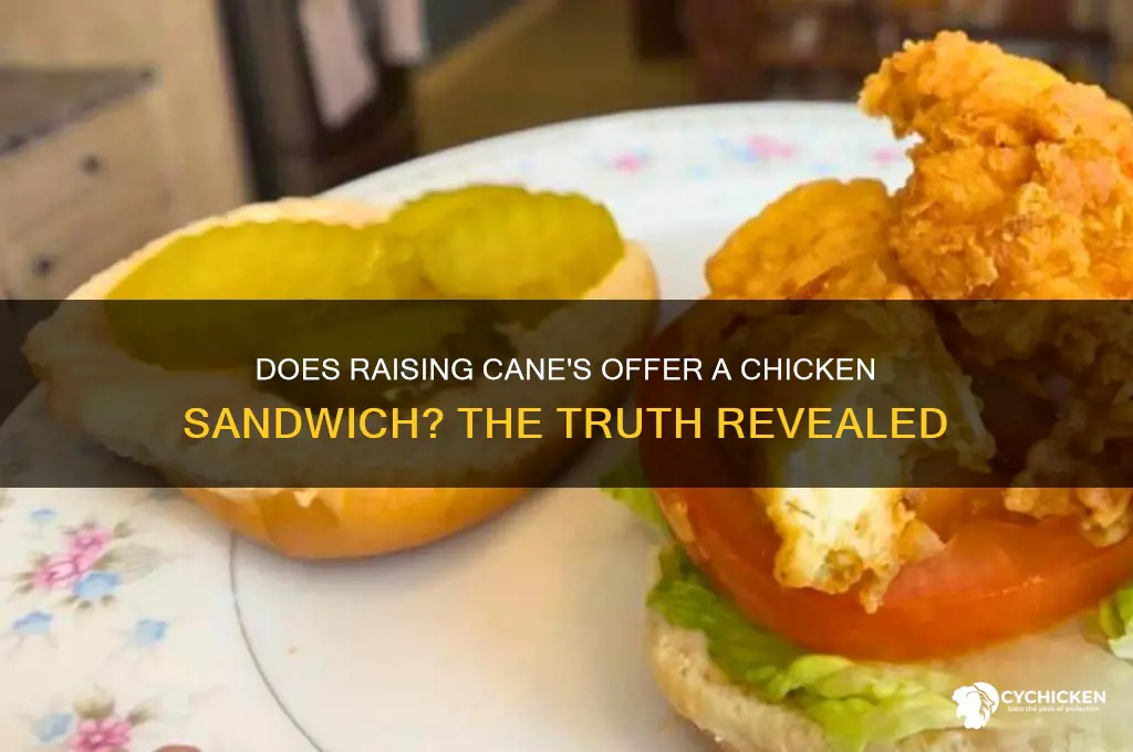 does raising cane