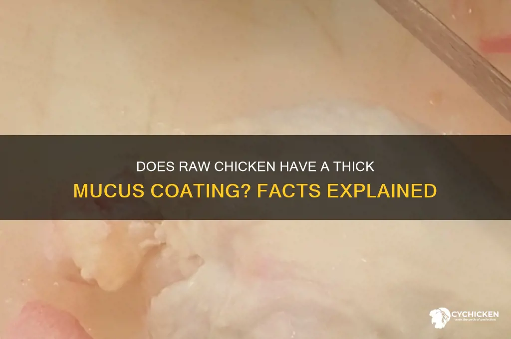 does raw chicken have a thick on itmucus