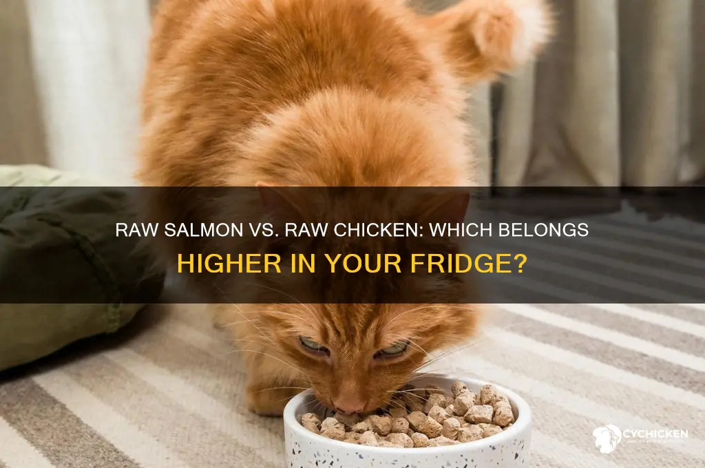 does raw salmon go above raw chicken