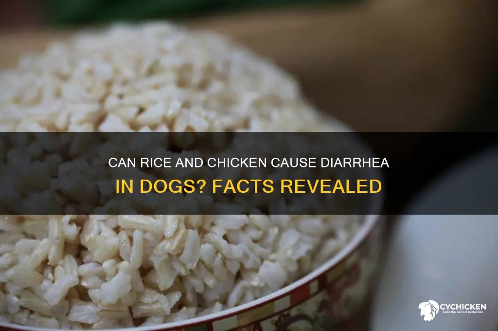 does rice and chicken give dogs dihrreah