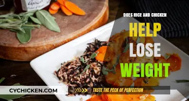 Rice and Chicken for Weight Loss: Fact or Fiction?