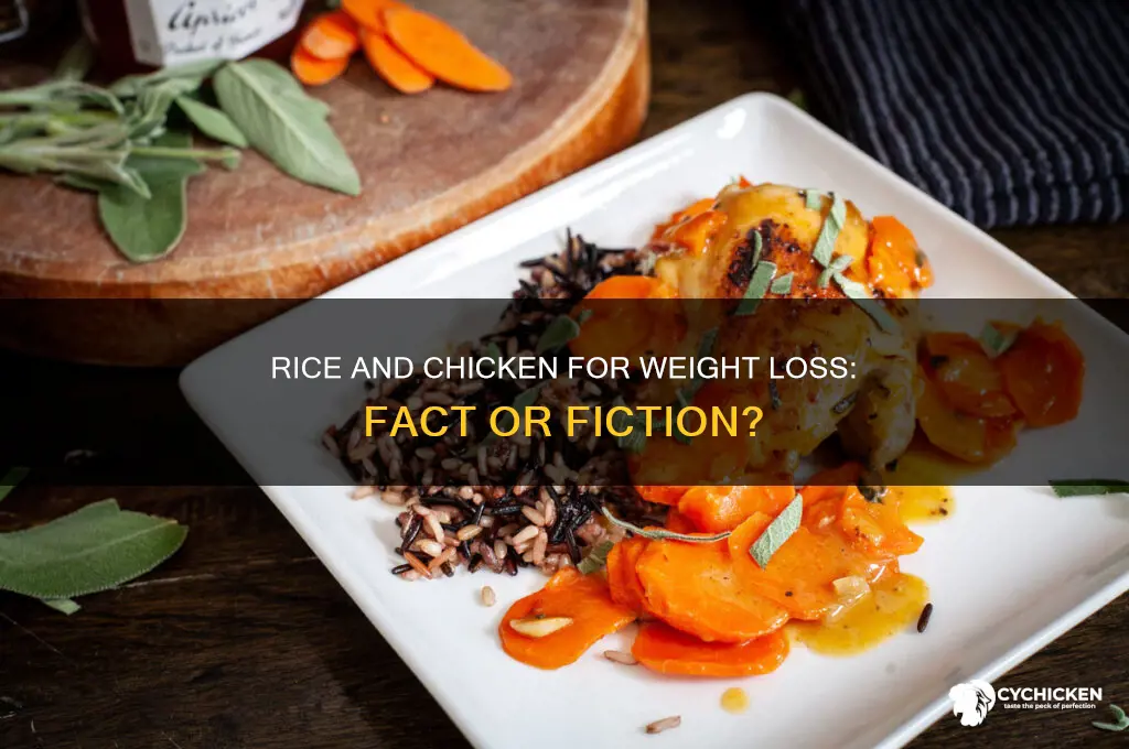 does rice and chicken help lose weight