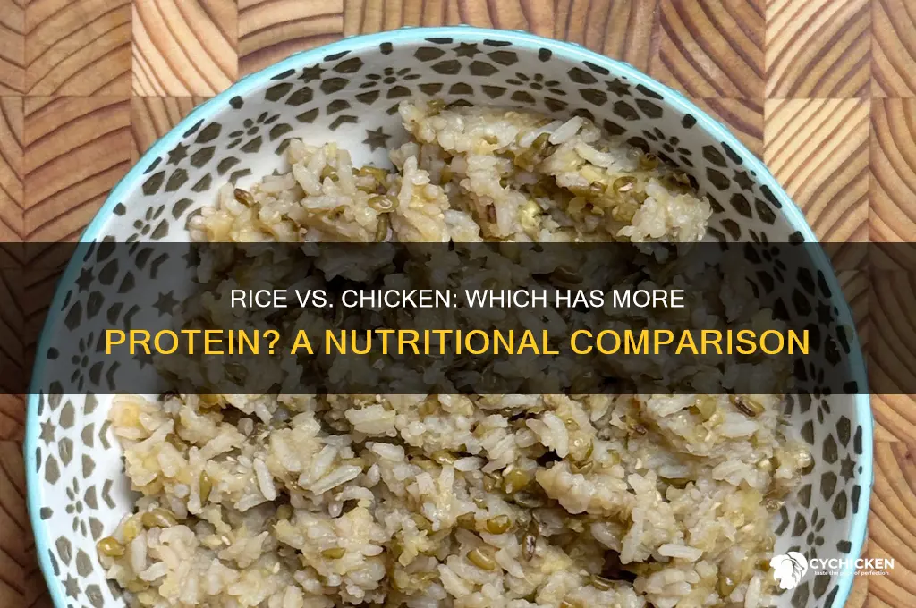 does rice have more protein than chicken