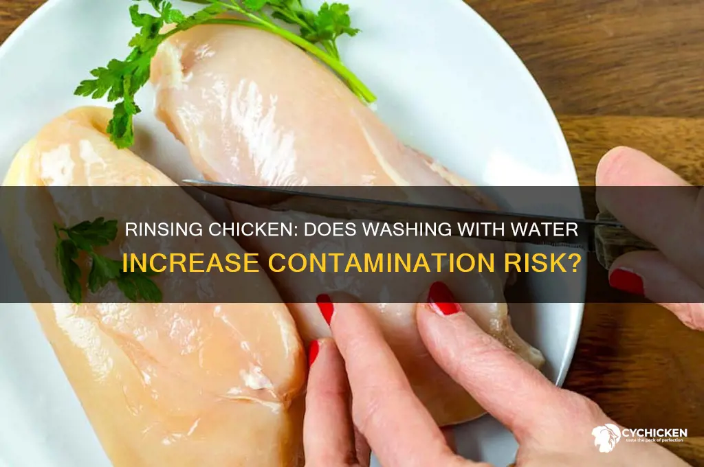 does rinsing chicken with water contaminate it
