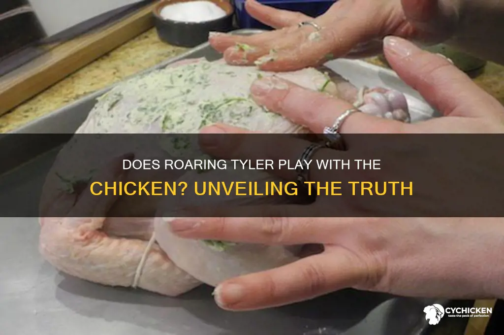 does roaring tyler play with the chicken
