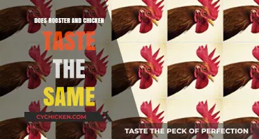 Rooster vs. Chicken: Uncovering the Taste Differences and Similarities