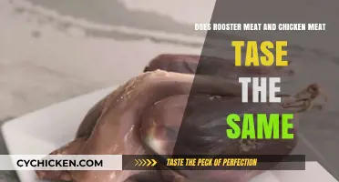 Rooster vs. Chicken Meat: Any Difference in Taste?