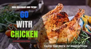Rosemary and Thyme: Perfect Herbs to Elevate Your Chicken Dishes