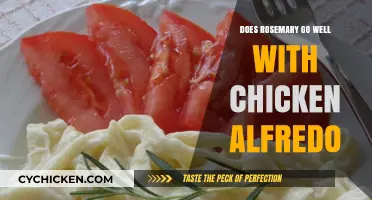 Rosemary's Magic: Elevating Chicken Alfredo with Aromatic Herb Pairing