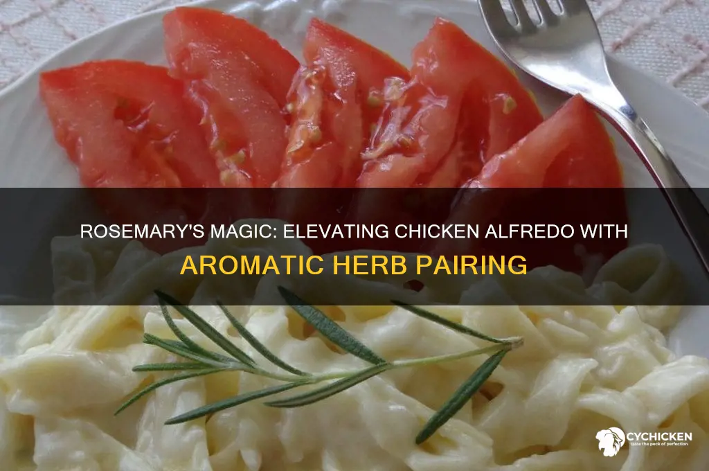 does rosemary go well with chicken alfredo