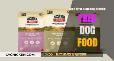 Royal Canin Chicken-Free Dog Food: Options and Benefits Explained