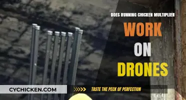 Does the Running Chicken Multiplier Effect Apply to Drone Technology?