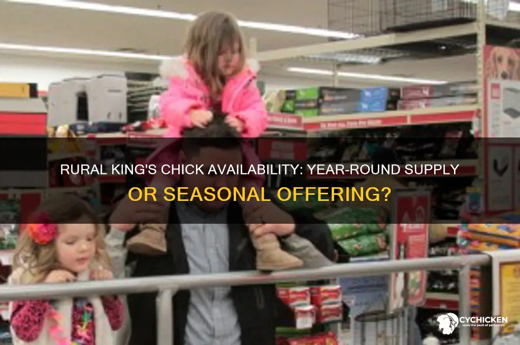 does rural king have chicks year-round