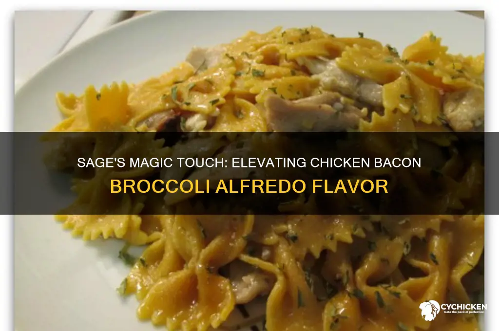 does sage go with chicken bacon broccoli alfredo