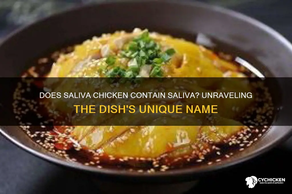 does saliva chicken have saliva in it