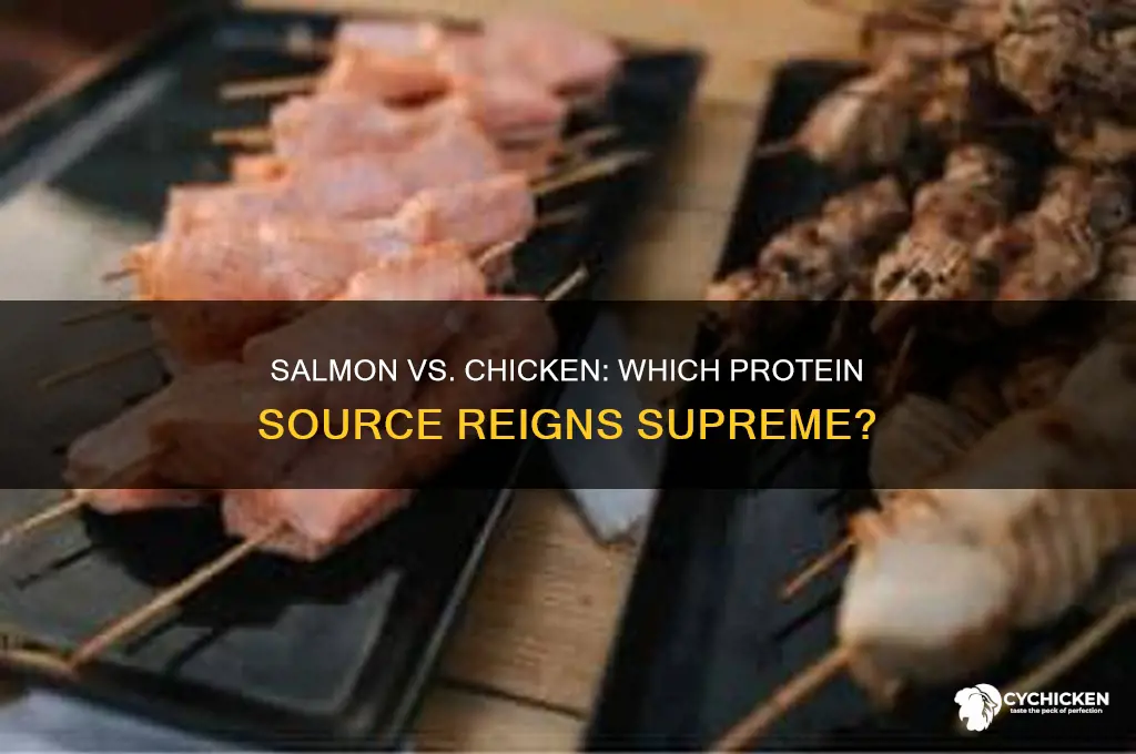 does salmon have more protein than chicken
