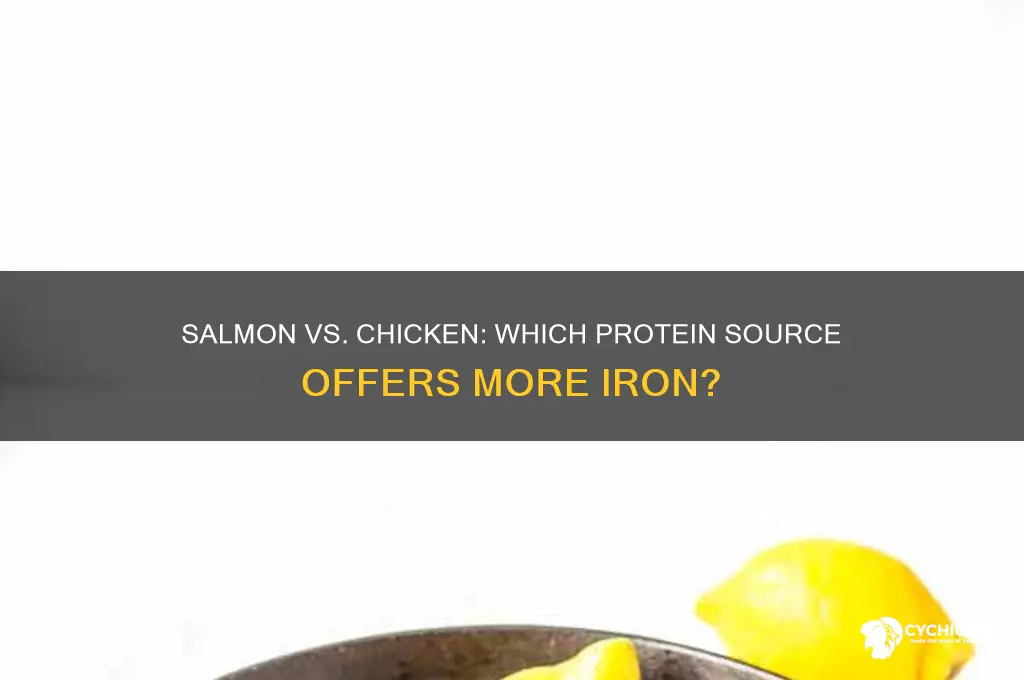 does salmon or chicken have more iron