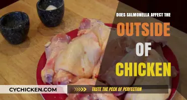 Salmonella on Chicken Skin: Risks, Prevention, and Safe Handling Tips