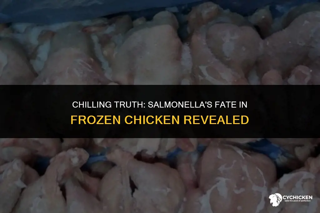 does salmonella die frozen chicken