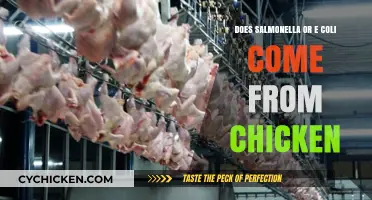 Salmonella vs. E. Coli: Uncovering Chicken's Role in Foodborne Illnesses