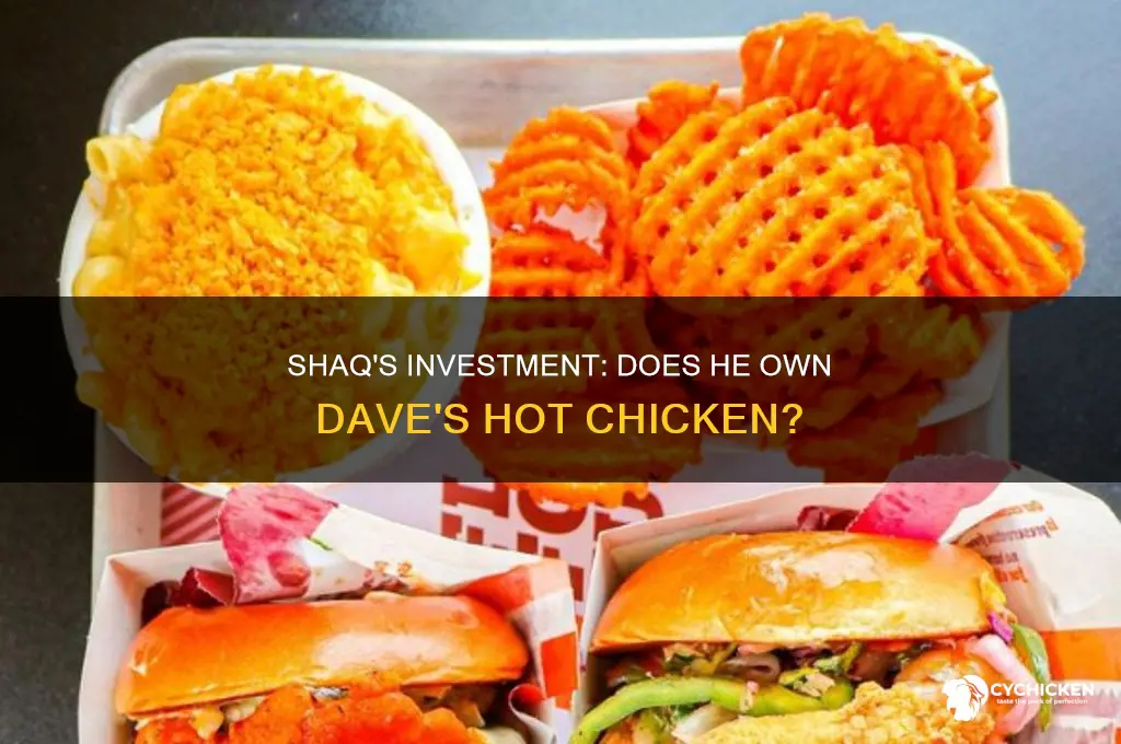 does shaq own dave